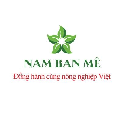 Nam Ban Mê Group